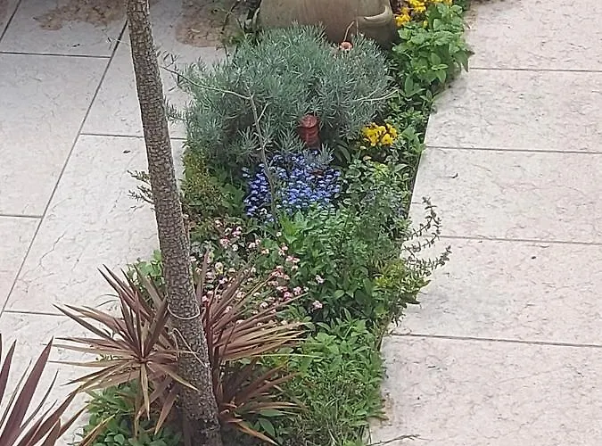 Apartahotel Treccani