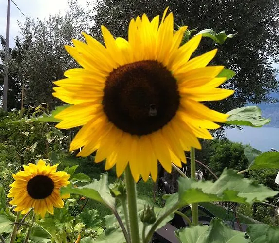 Treccani Apartahotel 4*