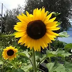 Treccani 아파트호텔 4*